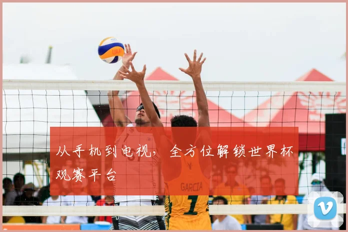 从手机到电视,全方位解锁世界杯观赛平台