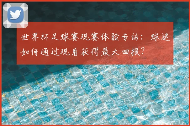 世界杯足球赛观赛体验专访:球迷如何通过观看获得最大回报?