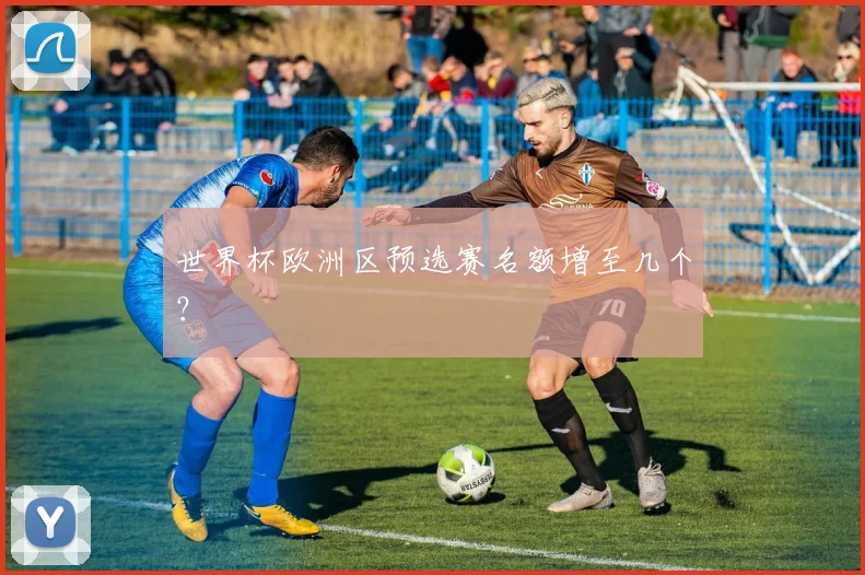 世界杯欧洲区预选赛名额增至几个?