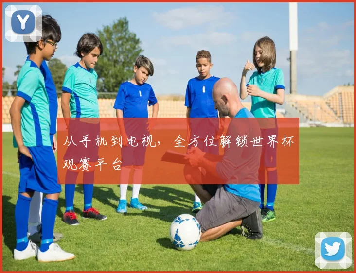从手机到电视,全方位解锁世界杯观赛平台