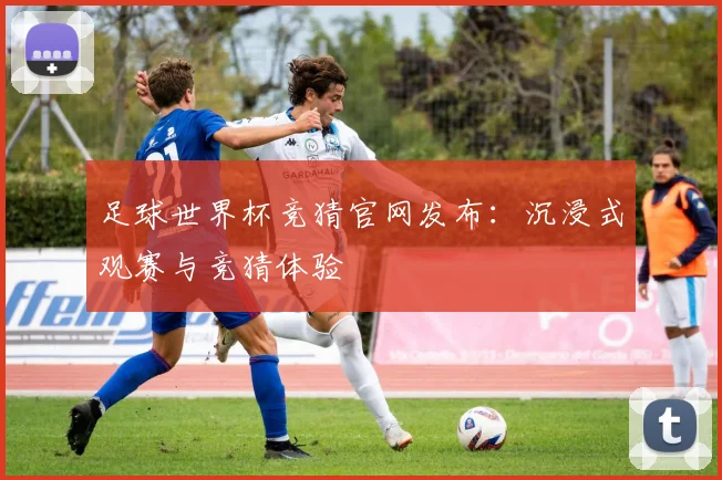 足球世界杯竞猜官网发布：沉浸式观赛与竞猜体验