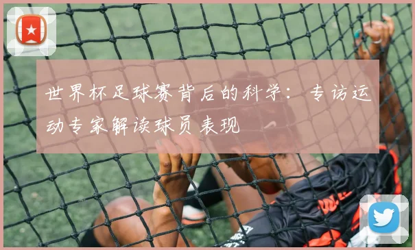 世界杯足球赛背后的科学:专访运动专家解读球员表现