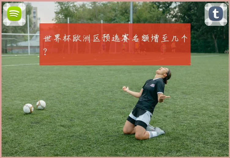 世界杯欧洲区预选赛名额增至几个?