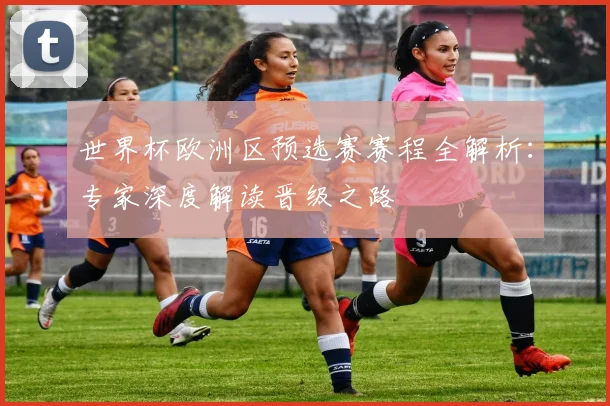 世界杯欧洲区预选赛赛程全解析:专家深度解读晋级之路