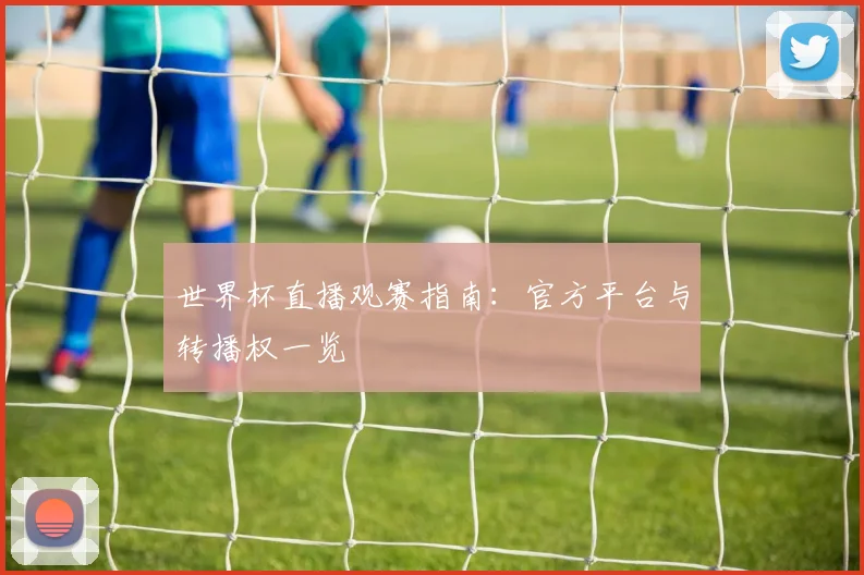 世界杯直播观赛指南:官方平台与转播权一览