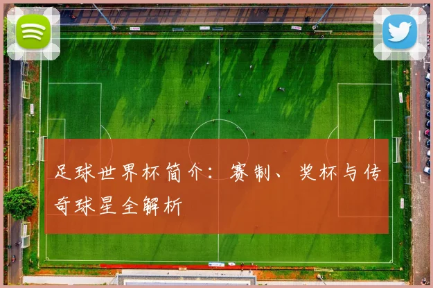 足球世界杯简介：赛制、奖杯与传奇球星全解析