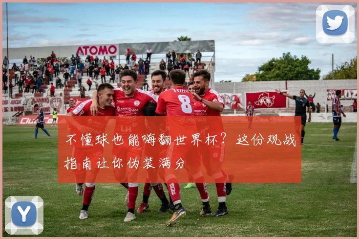 不懂球也能嗨翻世界杯？这份观战指南让你伪装满分
