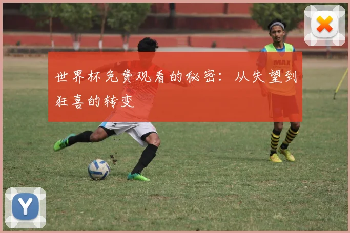 世界杯免费观看的秘密:从失望到狂喜的转变