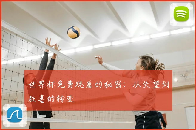 世界杯免费观看的秘密:从失望到狂喜的转变