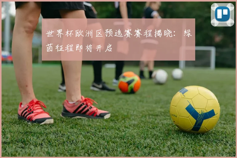 世界杯欧洲区预选赛赛程揭晓:绿茵征程即将开启
